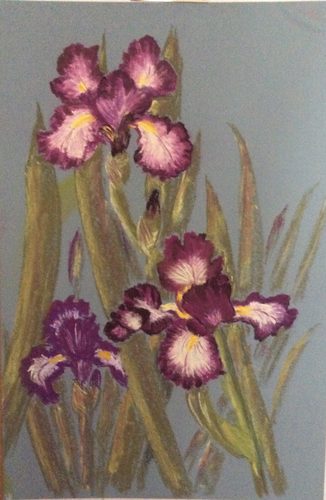 pastel, Iris.